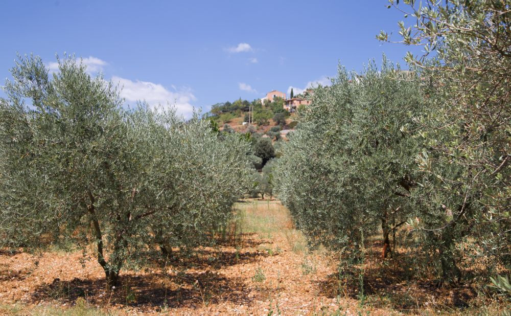 Sustavi za navodnjavanje