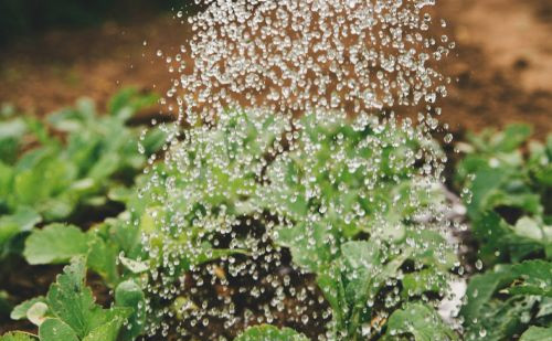 Sustavi za navodnjavanje