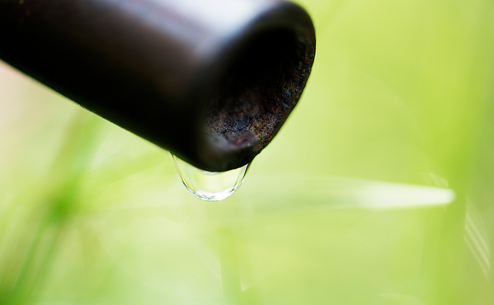 irrigation